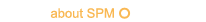 About SPM Online