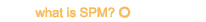 What is the Spony Profiling Model
